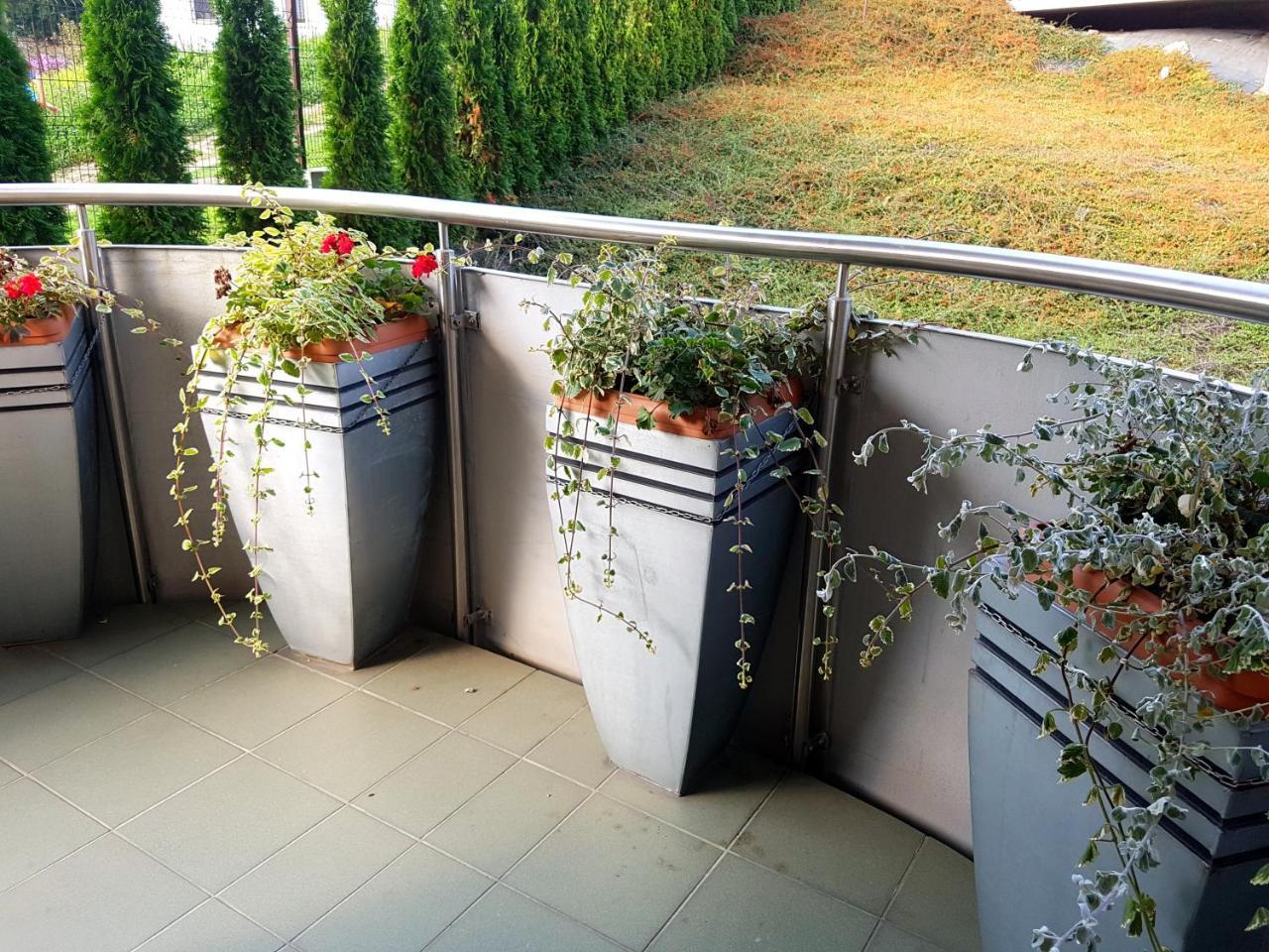 Aba Apartamenty Pilsudskiego 41 Krynica Zdroj Exterior foto